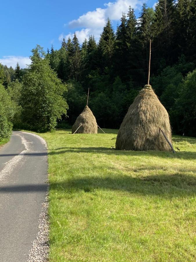 Drevenica Polomka, 5 Min Peso Restauracia, Ticha Ulica, Potok Villa Brezno Eksteriør bilde